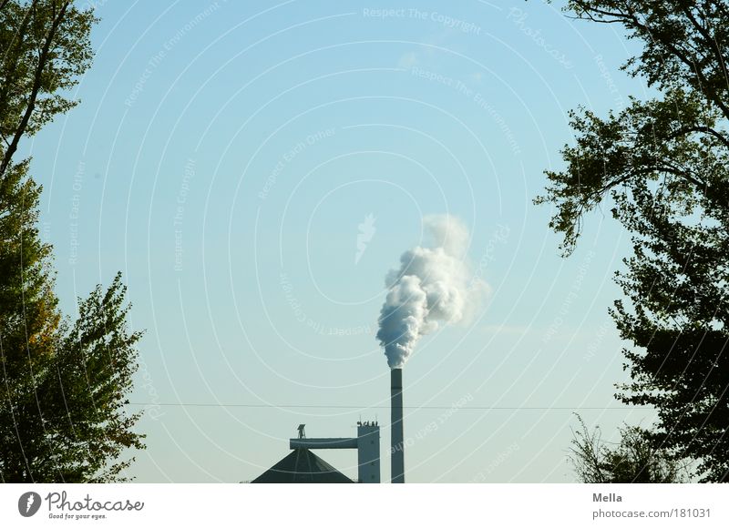 industrial nation Colour photo Exterior shot Deserted Copy Space top Day Central perspective Factory Industry Environment Sky Climate change Tree Roof Chimney