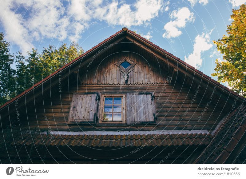 Hunting lodge in the forest Village House (Residential Structure) Detached house Hut Relaxation Hiking Uniqueness Safety (feeling of) Loneliness Gable Roof
