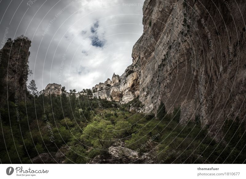 rock face, trees, valley Vacation & Travel Tourism Trip Far-off places Mountain Hiking Environment Nature Landscape Sky Storm clouds Horizon Weather Tree Bushes