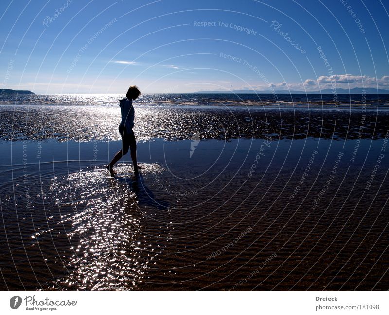 deep blue sea Colour photo Exterior shot Day Light Shadow Contrast Silhouette Reflection Light (Natural Phenomenon) Sunlight Back-light Deep depth of field