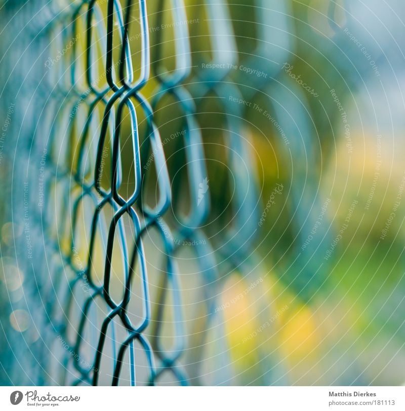 fence Fence Wire netting Captured Penitentiary Confine Encase Lock up Border Barrier Private Real estate Territory selective sharpness