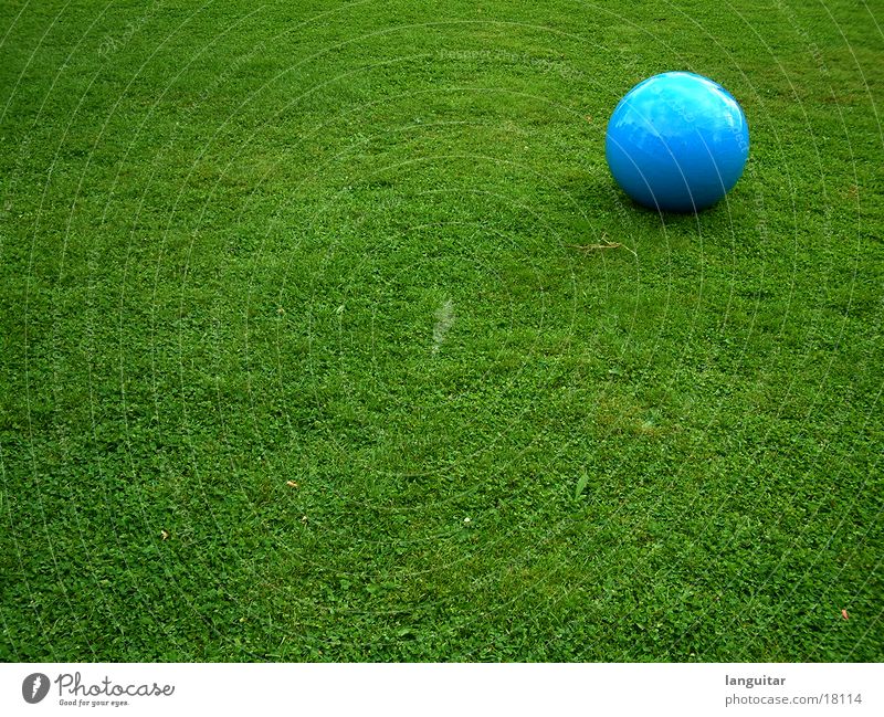 ball on the field Meadow Grass Green Sterile Round Structures and shapes Playing Loneliness Extravagant Large Leisure and hobbies Colour Ball Lawn Blue Contrast