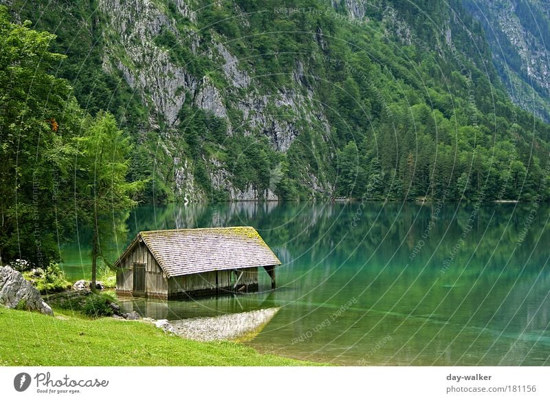 Hut in Königssee II Colour photo Exterior shot Deserted Day Light Shadow Contrast Reflection Shallow depth of field Nature Landscape Plant Water Summer Weather