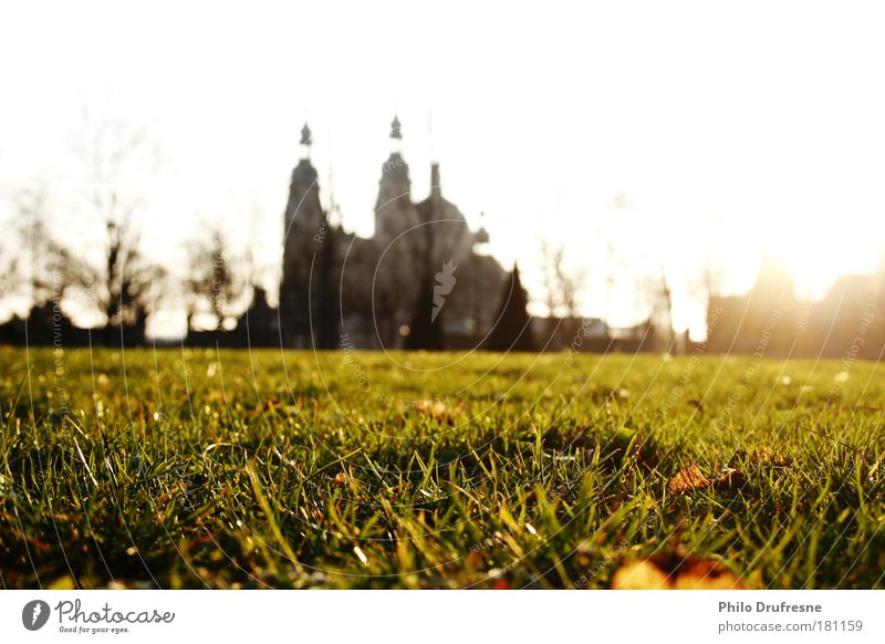 pleasant March air Colour photo Exterior shot Deserted Twilight Light Shadow Contrast Light (Natural Phenomenon) Sunlight Sunbeam Sunrise Sunset Back-light