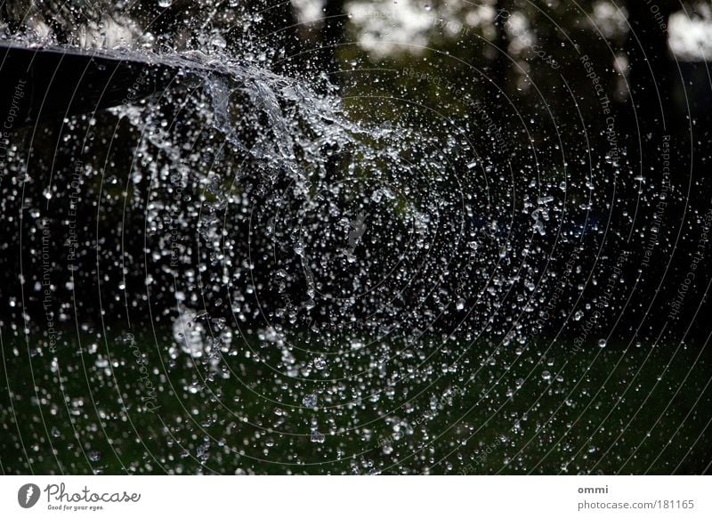 Sea of drops in a fraction of a second Water Drops of water Wet Wild Euphoria Life Movement Joie de vivre (Vitality) Ease Change Well Fountain Inject