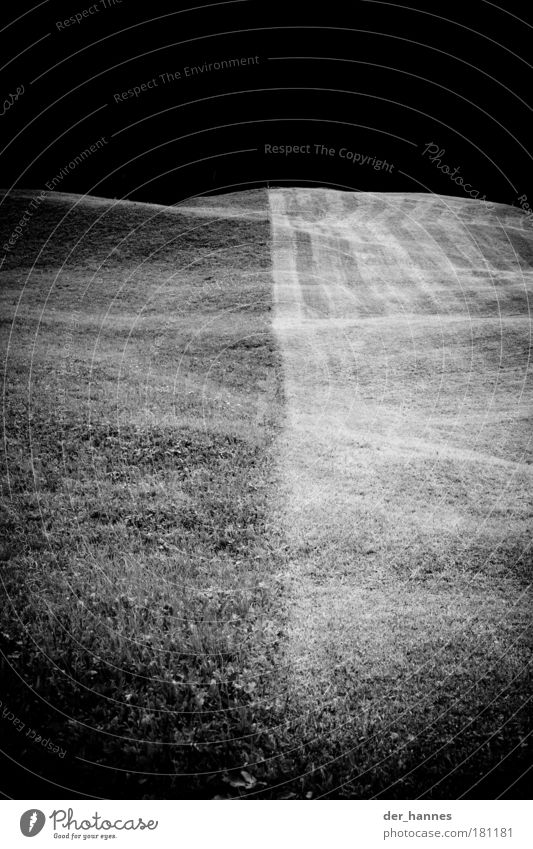 soccer Black & white photo Exterior shot Experimental Abstract Pattern Structures and shapes Deserted Copy Space top Neutral Background Day Contrast