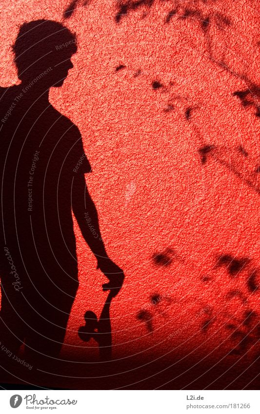 SHADOW SKATER II Skateboarding Wall (building) Shadow Red Leaf Branch Silhouette Hand Arm Sunlight Visual spectacle Style