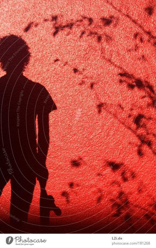 SHADOW SKATER III Skateboarding Wall (building) Shadow Red Leaf Branch Silhouette Hand Arm Sunlight Visual spectacle Style