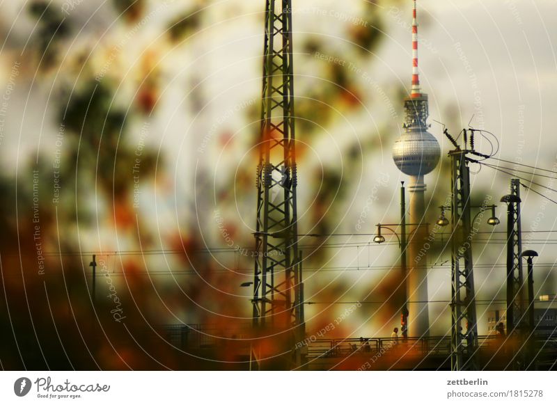 television tower Berlin TV Tower Television tower Alexanderplatz Capital city Germany Town Landmark Hide Hiding place Depth of field Copy Space Deserted Autumn