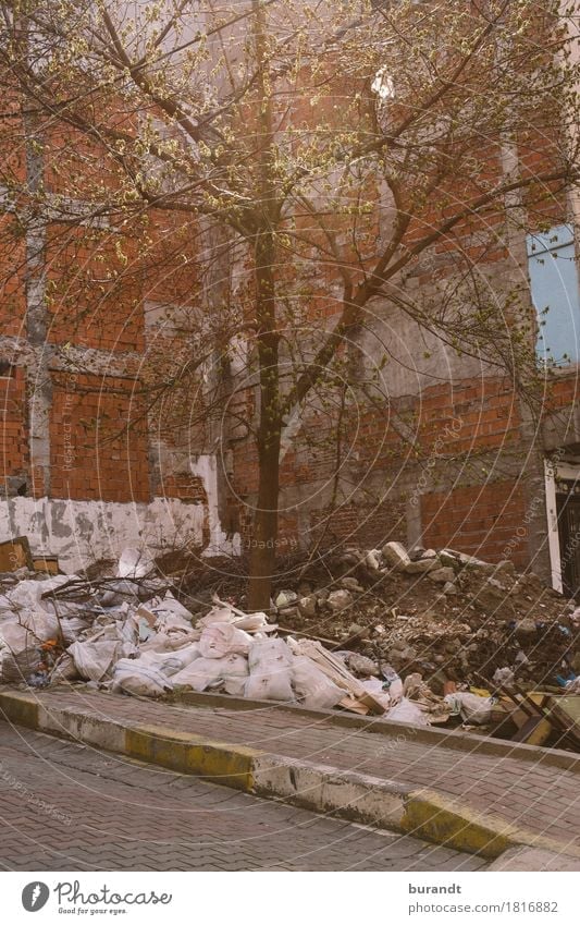 quarter Istanbul Turkey Asia Europe Capital city Outskirts House (Residential Structure) Wall (barrier) Wall (building) Stone Brick Dirty Trash Tree Street