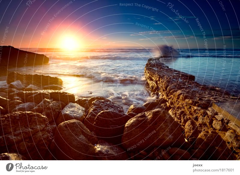 tide Summer Summer vacation Sun Ocean Waves tidal pool Nature Water Sky Sunrise Sunset Sunlight Beautiful weather Rock Coast Portugal Deserted Wall (barrier)