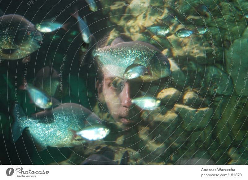 Aquarium Face Freedom Ocean Human being Masculine Young man Youth (Young adults) 1 18 - 30 years Adults Environment Nature Water Animal Fish Zoo