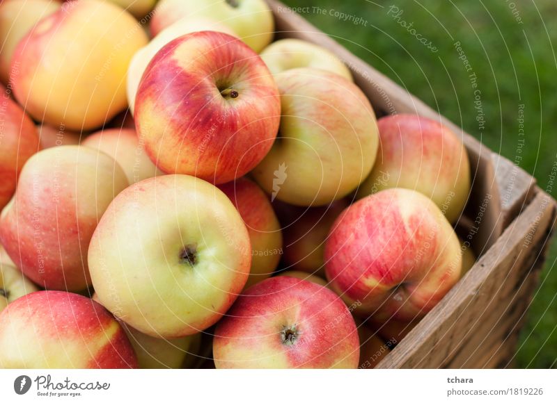 Fresh organic Ripe green apples box on wooden table Stock Photo by