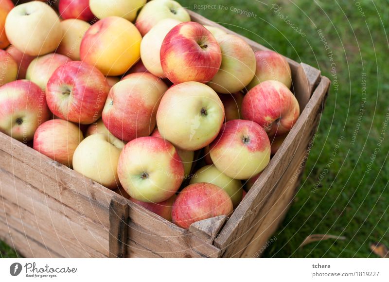 https://www.photocase.com/photos/1819227-apples-diet-summer-garden-autumn-grass-wood-old-photocase-stock-photo-large.jpeg