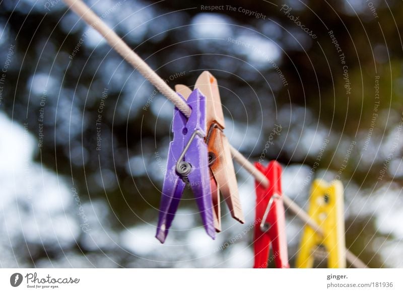 No washing day - today the line remains empty Plastic Blue Yellow Green Violet Pink Red Clothes peg Clothesline Blur Foreground Washing day Housekeeping