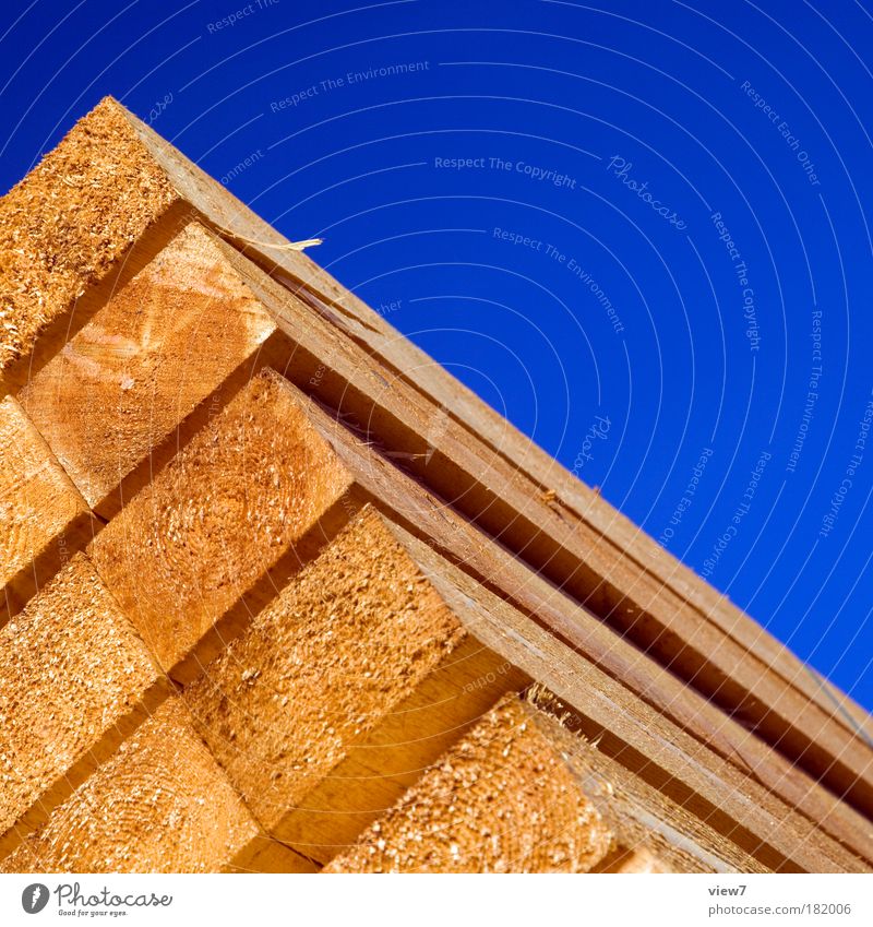 stack of wood Colour photo Exterior shot Detail Deserted Copy Space right Copy Space top Evening Light Deep depth of field Worm's-eye view Workplace Agriculture