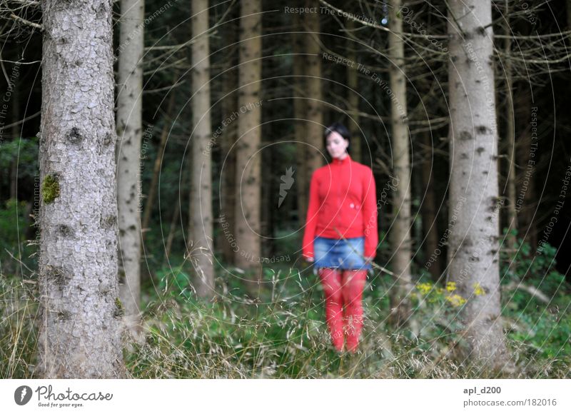 Little Red Riding Hood Colour photo Multicoloured Exterior shot Day Shadow Shallow depth of field Full-length Downward Human being Feminine Young woman