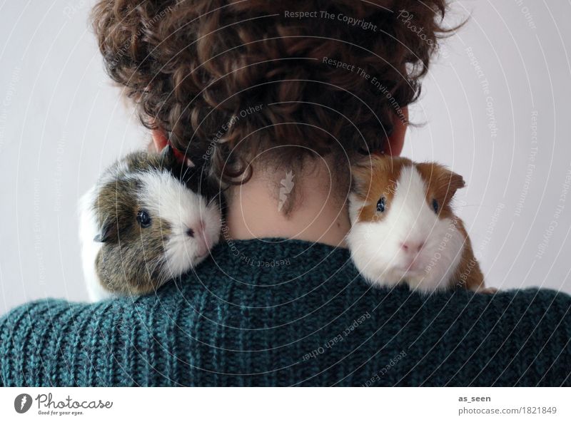How to wear fur Back 1 Human being Sweater Curl Animal Petting zoo Guinea pig Pelt Fur collar Animal face Animal protection Love of animals Pair of animals