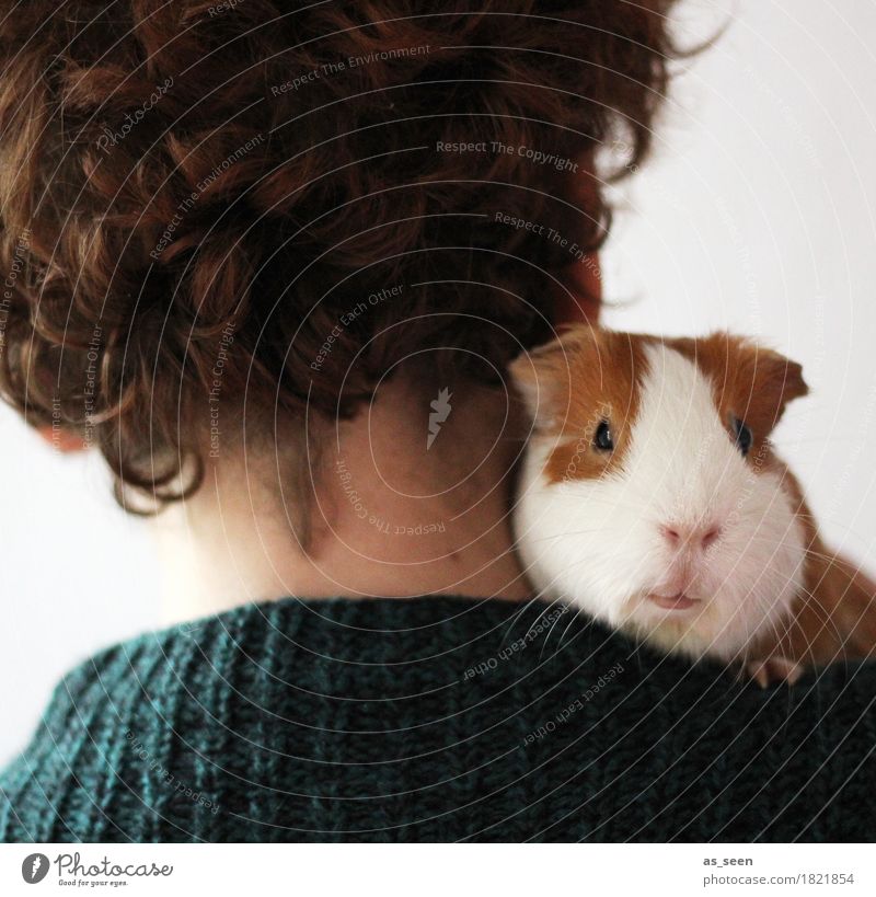snuggle Life Head Hair and hairstyles Back 1 Human being Animal Pet Animal face Petting zoo Guinea pig Rodent Pelt Muzzle Sit Carrying Small Cute Positive Soft