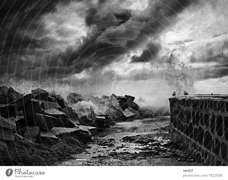 resistance Environment Nature Landscape Elements Clouds Storm clouds Autumn Bad weather Wind Gale Sassnitz Wall (barrier) Wall (building) Stone Exceptional Dark