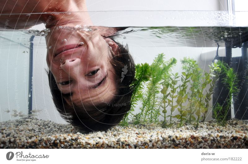 Submerged Dive Young man Youth (Young adults) Man Adults Head Face Cold Air bubble Aquarium Fish Stone Funny Laughter Smiling Joy Surface of water Aquatic plant
