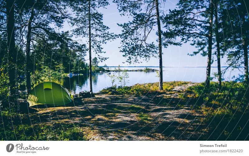 Tent at Lake Pielinen Vacation & Travel Tourism Adventure Far-off places Freedom Camping Summer Hiking Landscape Moss Forest Lakeside Finland pielines Discover