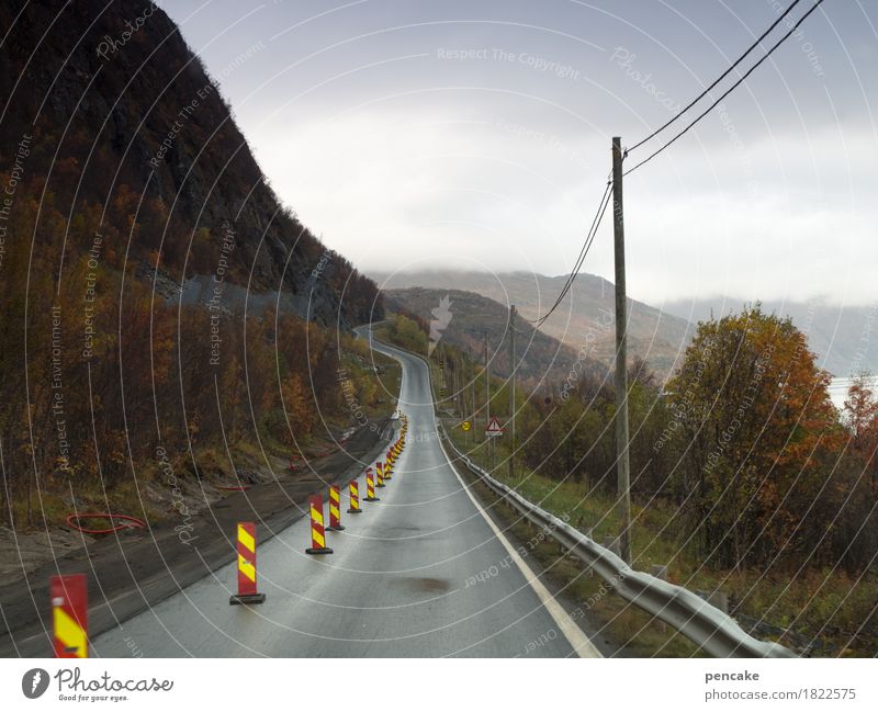 bottleneck Cable Nature Landscape Autumn Fjord Street Road sign Signage Warning sign Driving Vacation & Travel Norway Construction site Electricity pylon Narrow