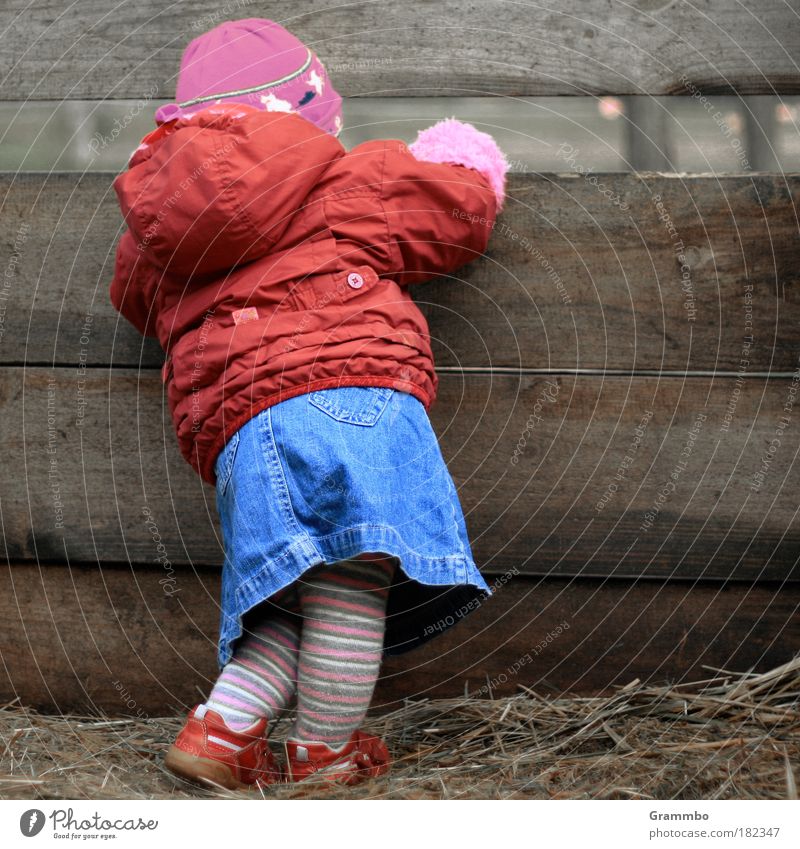 inquisitiveness Colour photo Multicoloured Exterior shot Copy Space right Human being Toddler Girl Infancy 1 1 - 3 years Village Jacket Tights Cap Looking Cute