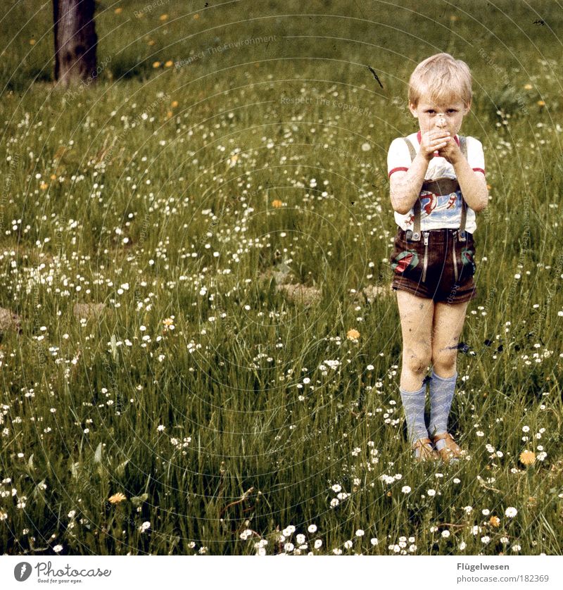 The day the meadow stopped. Colour photo Exterior shot Day Lifestyle Leisure and hobbies Parenting Human being Child Boy (child) Plant Grass Blonde Cool (slang)