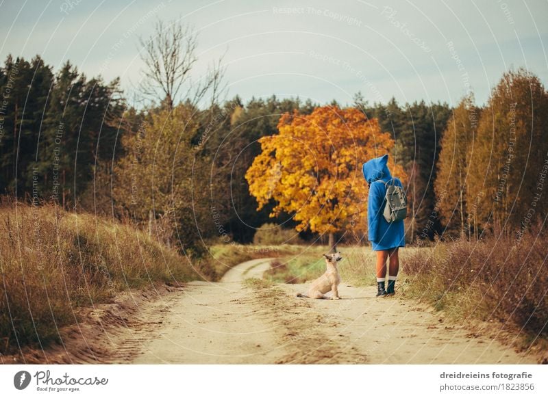 Autumn Walk - Friends for Life - Indian Summer Feeling Trip Freedom Feminine Landscape Animal Pet Dog Communicate Stand Together Happy Natural Emotions