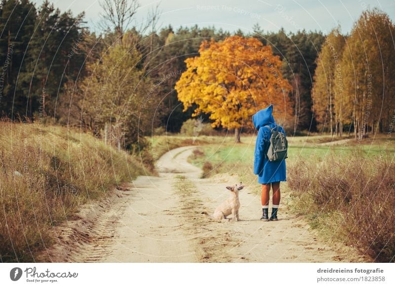 Autumn Walk - Friends for Life - Indian Summer Feeling Feminine Woman Adults Pet Dog Stand Agreed Discover Trip Freedom Landscape Autumnal Communicate Together