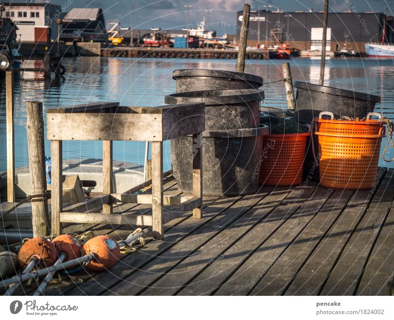 !trash! 2016 | fisherman's friends Landscape Elements Water Coast North Sea Fishing village Trashy Blue Orange Harbour Footbridge Fishery Table Keg Fishing net