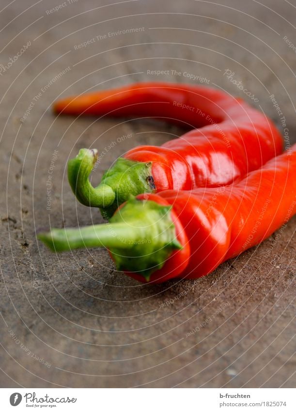 sharp pair Vegetable Table Eating To enjoy Red Attachment Chili Pepper Fiery Tangy In pairs Wood Harvest Spicy peperoncini pepperoni Colour photo Interior shot