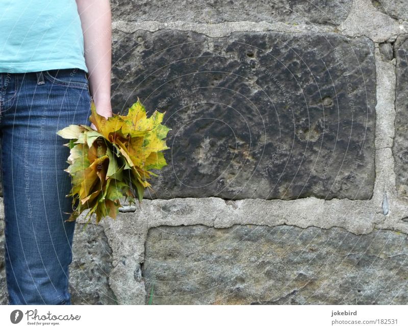 autumn bouquet Human being Feminine Autumn Leaf Wall (barrier) Wall (building) T-shirt Jeans Stone Stand Dry Blue Yellow Sandstone Autumn leaves Arm Legs