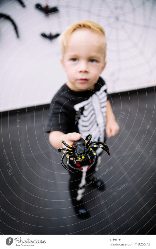 Caucasian little boy playing with spider toy Lifestyle Playing Hallowe'en Kindergarten Child Human being Toddler Boy (child) Infancy Spider Happiness Curiosity