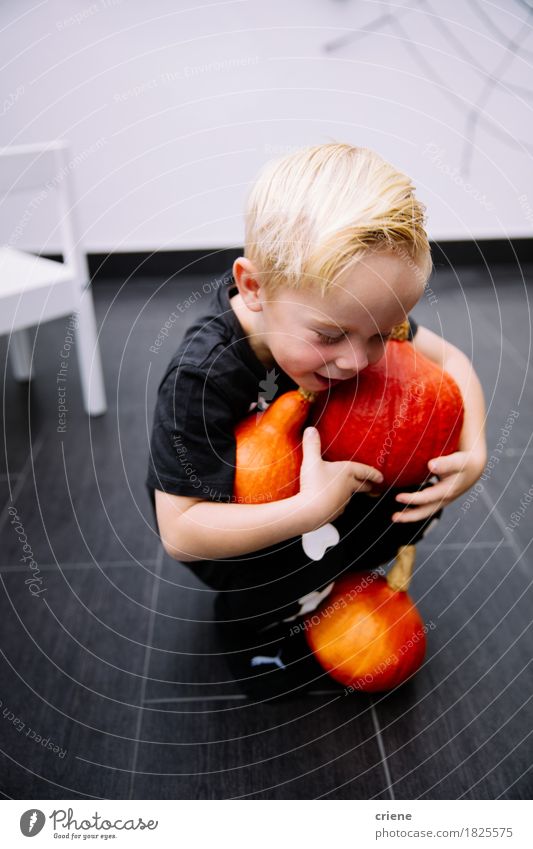 Little toddler boy carrying pumpkins for halloween at home Vegetable Lifestyle Joy Playing Thanksgiving Hallowe'en Toddler Boy (child) Infancy 1 - 3 years