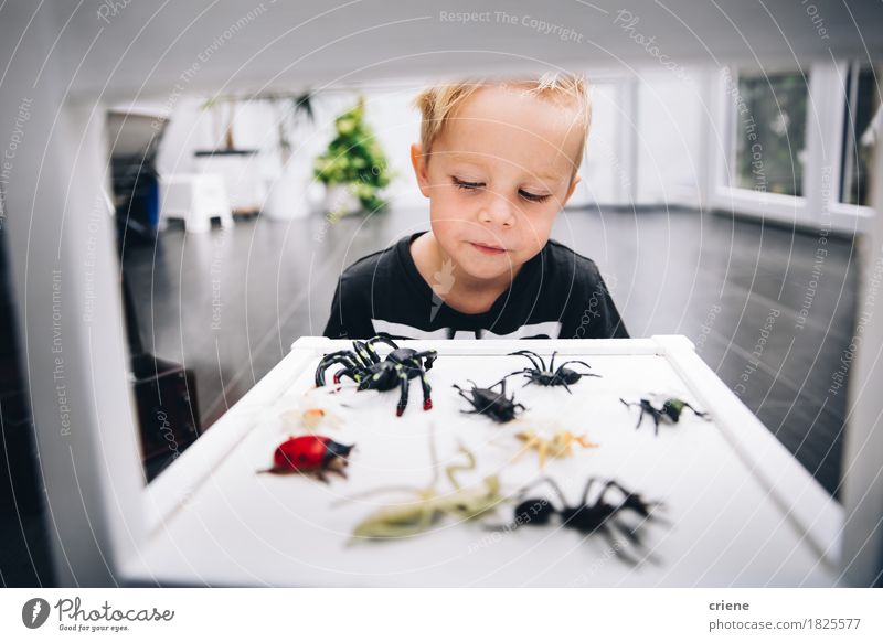 Caucasian little boy playing with spider toys at home Lifestyle Joy Playing Children's game Room Living room Children's room Education Science & Research
