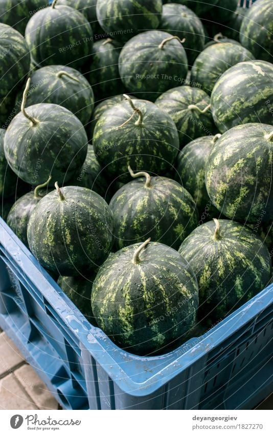 Watermelons in a a large crate Fruit Dessert Nutrition Diet Summer Nature Fresh Delicious Natural Juicy Green Red Water melon market watermelons background