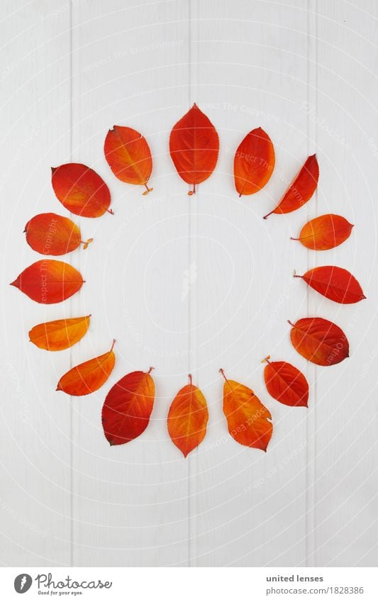 AK# Autumn and its leaves I Art Work of art Symmetry Seasons Autumnal Autumn leaves Autumnal colours Early fall Leaf Design Fashioned Red Many 16 Circle