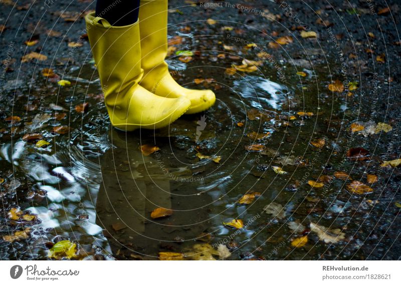 Yellow rubber boots Leisure and hobbies Trip Adventure Environment Nature Water Autumn Weather Bad weather Rain Rubber boots Authentic Hip & trendy Wet Natural