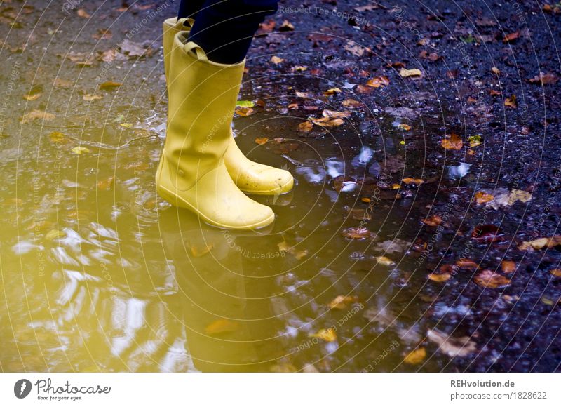 the yellow rubber boots Feminine Feet 1 Human being Autumn Weather Bad weather Leaf Rubber boots Water Stand Hip & trendy Wet Joy Joie de vivre (Vitality)