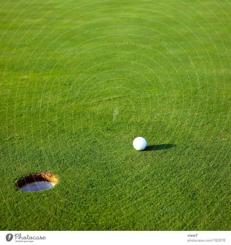 login Colour photo Exterior shot Detail Deserted Copy Space top Shadow Deep depth of field Golf Environment Nature Landscape Grass Park Meadow Playing Sports