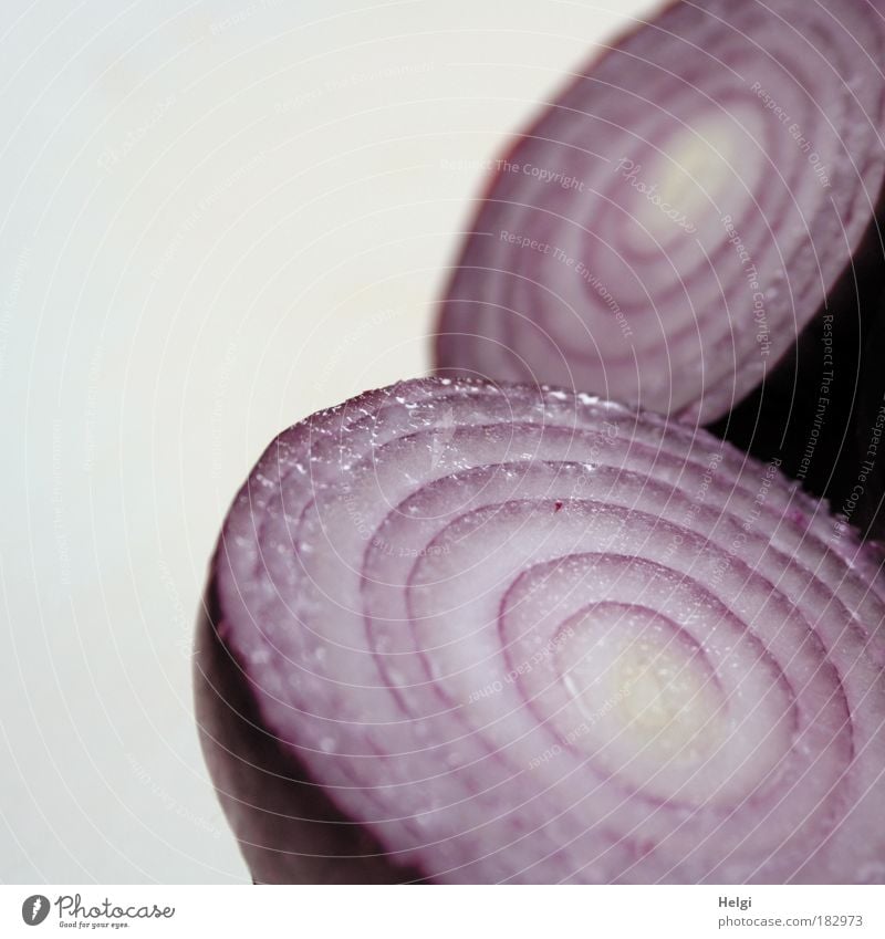 Close-up of a red sliced onion against a white background Colour photo Subdued colour Interior shot Detail Deserted Copy Space left Copy Space top