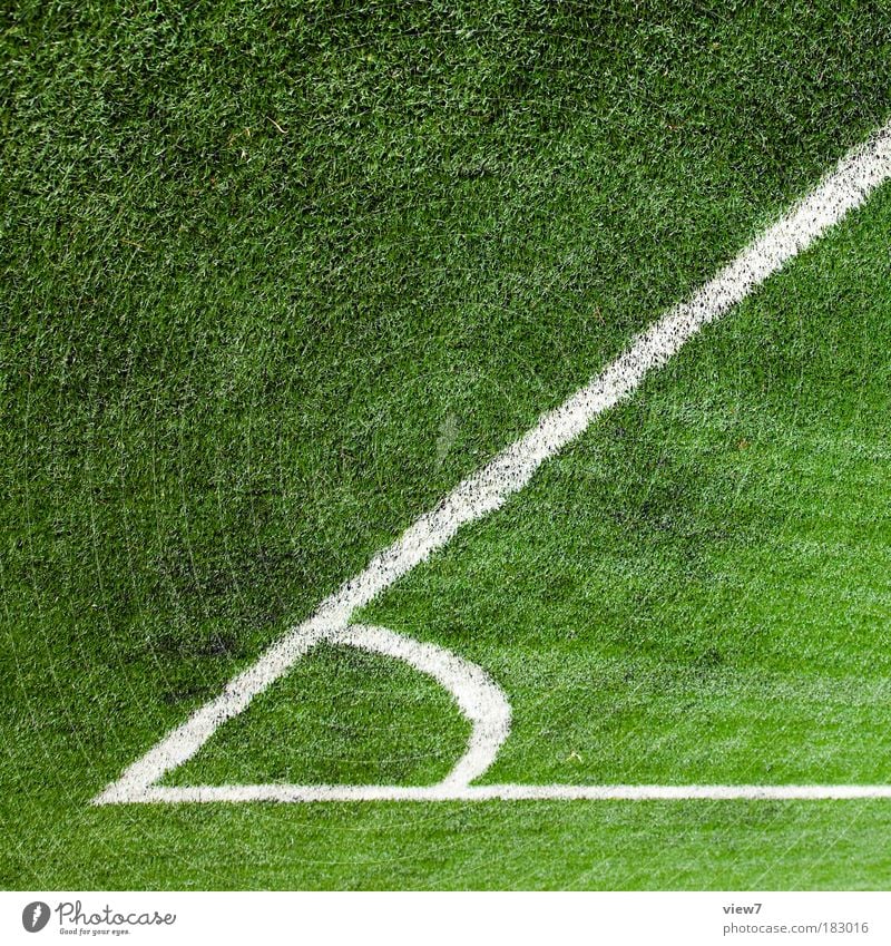 60 degrees Colour photo Exterior shot Detail Deserted Copy Space top Light Deep depth of field Football pitch Nature Grass Sign Signs and labeling Line Stripe