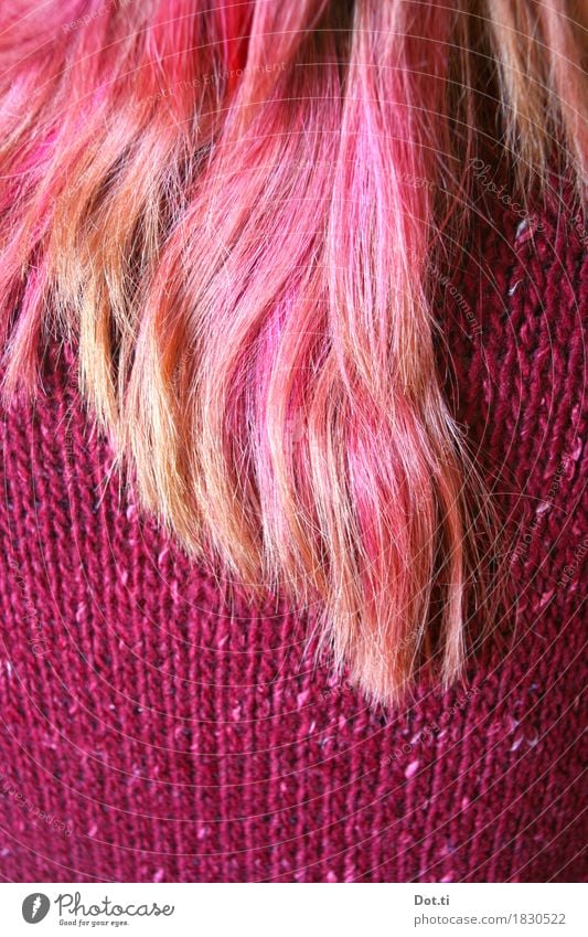 dip dye Human being Feminine Young woman Youth (Young adults) Woman Adults Hair and hairstyles 1 Sweater Long-haired Pink Self-confident Cool (slang) Uniqueness