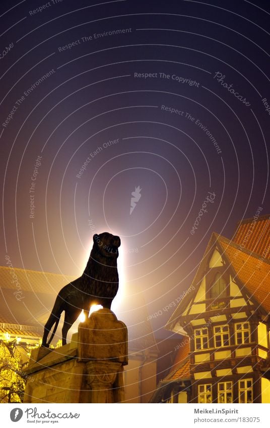 The Lion King Art Sculpture Cloudless sky Night sky Town Downtown Old town Places Marketplace Tourist Attraction Landmark Monument Animal Wild animal 1 Esthetic