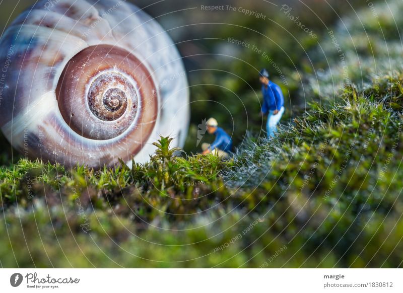 Miniwelten - Anyone home? Human being Masculine Man Adults 2 Plant Grass Animal Snail 1 Blue Green Snail shell Spiral House (Residential Structure) Visitor