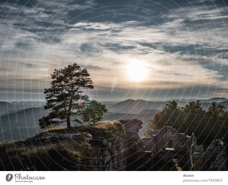 promising [1] Trip Far-off places Environment Landscape Plant Sky Clouds Sun Sunrise Sunset Sunlight Tree Forest Mountain Palatinate forest Castle Ruin Nature