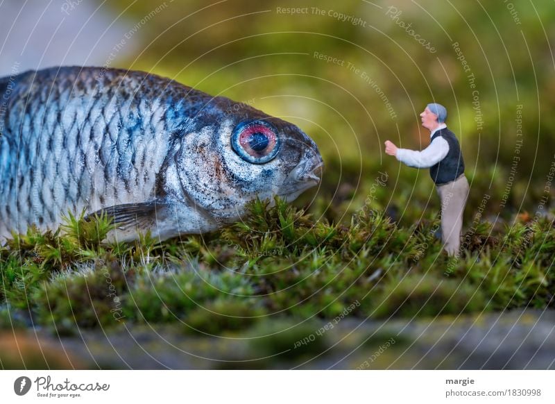Miniwelten - Listen to me carefully.... Food Fish Fishing (Angle) Human being Masculine Man Adults 1 Nature Plant Grass Animal Blue Green Fisheye Scales Speech