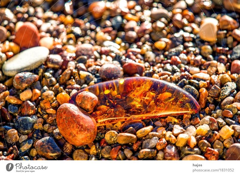 Amber at the Baltic Sea beach Alternative medicine Medication Beach Stone Old Illuminate Yellow Gravel Sandy beach Resin Brilliant Precious stone
